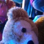 ひじき