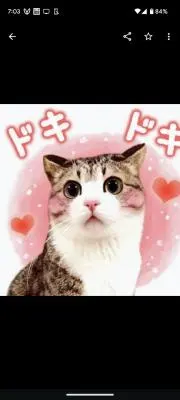 Nono★の画像