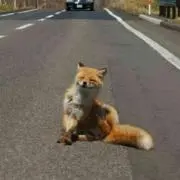 りょうの画像