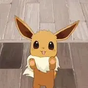 りる