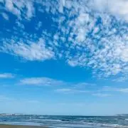 ma-ko124の画像