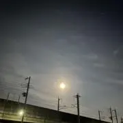 ぴぴ丸の画像