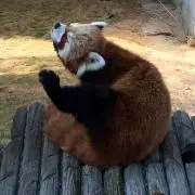 無印優仁