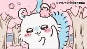 ザインの画像