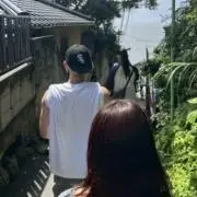 おにぎり