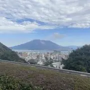 さくら
