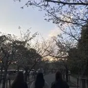 ゆい