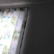 てふの画像