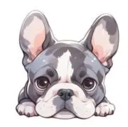 Kooフォロー割あり⭐️コメント大歓迎の画像