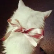 м