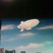 チェルシーの画像