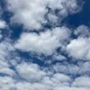 ちゃ