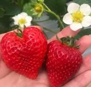 みんの画像