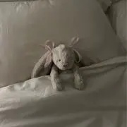ふうの画像