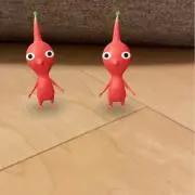 ぴく子の画像
