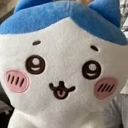 うさぎの画像