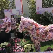 ☆となりのバッククロージャ　※プロフ必読の画像