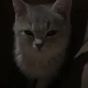 あすの画像