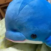 いけの画像