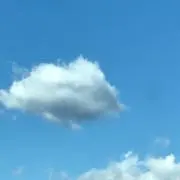 マスカットの画像