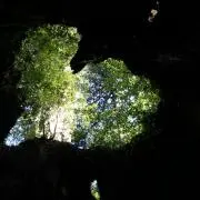 T Mの画像