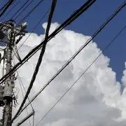 革細工士