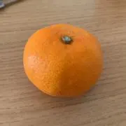 みかん