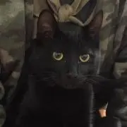 rueの画像