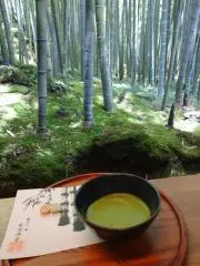 まどんの画像