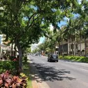 hide-pの画像