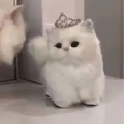 H.twiceグッズ卒