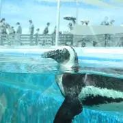 りょーくんの画像