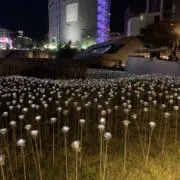 ＊＊＊の画像