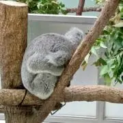 べいちゃん☆の画像
