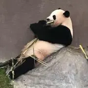 ゆき