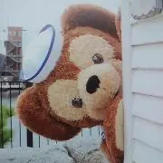 カズ