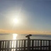 ティミー