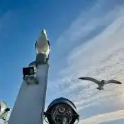 りんご