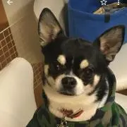 まるの画像