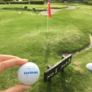 yayaの画像