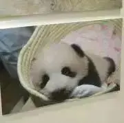 よし♪プロフィールをお読みくださいの画像
