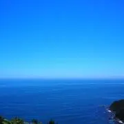 Roroの画像