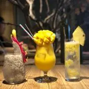 ぽんの画像