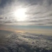 WhiteBird ※プロフ確認願いますの画像