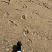 まりまもの画像