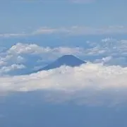 マリンの画像