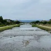 あずきの画像