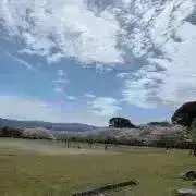naの画像