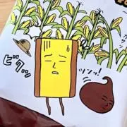 Booの画像