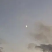 アロエの画像